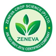 Video Editing Service